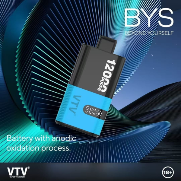 VTV維特威 BYS主機